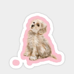 Bailey Sticker